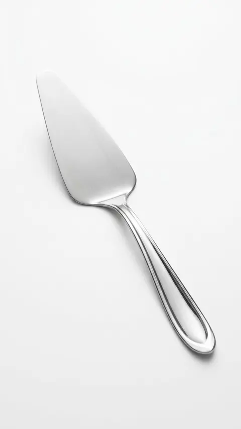 Espátula de inox